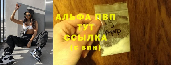 шишки Арсеньев