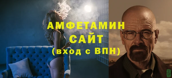 шишки Арсеньев