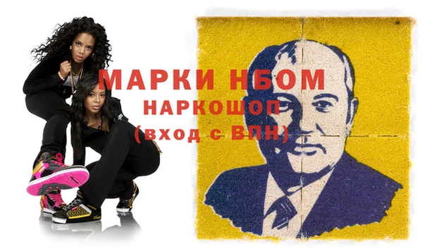 шишки Арсеньев