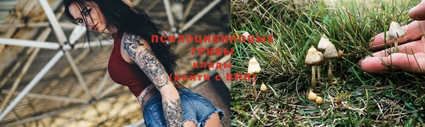 молекула духа Армянск